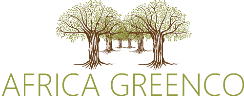 GreenCo secures investment to expand clean power financing in Africa