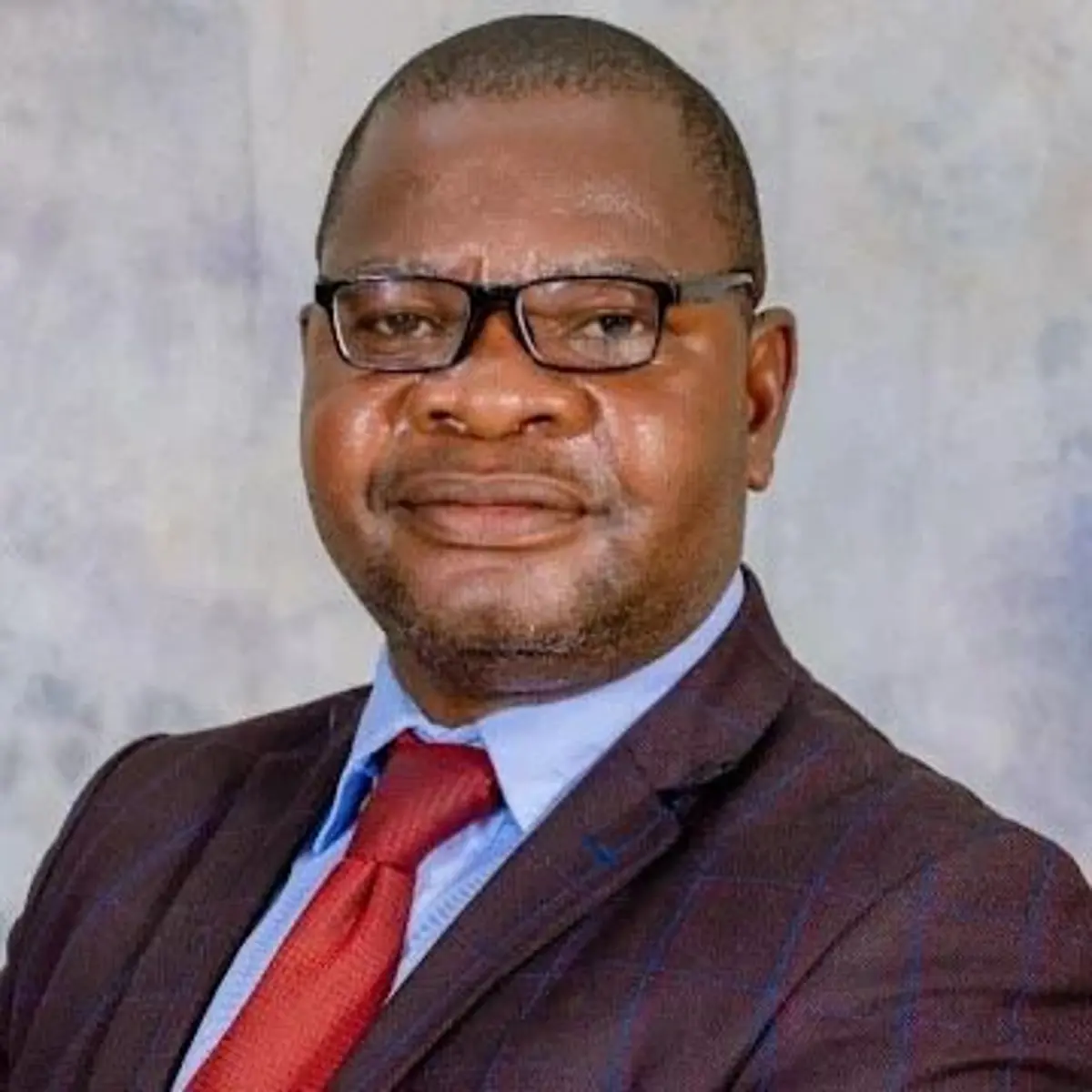 Zimbabwe’s pig industry emerges as key driver of livestock growth - Newsday