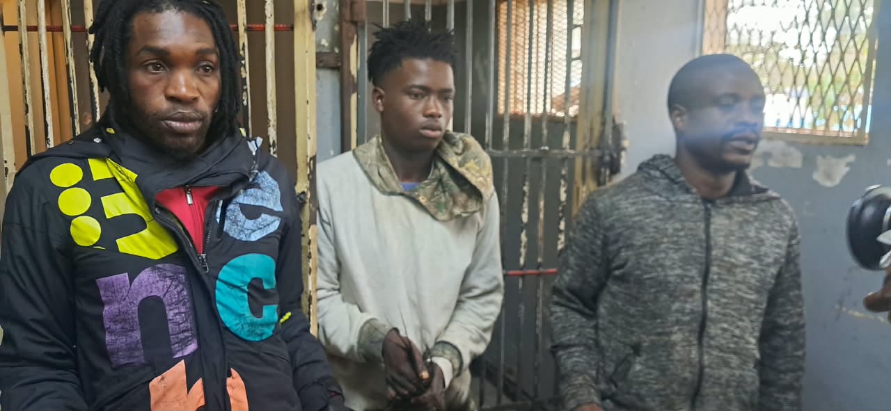 Zimbabwe: Parks And Wildlife Act Section 59(2)(a) Charge For 3 Poachers